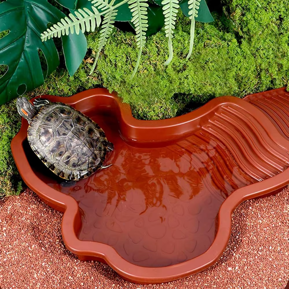 Piscine de bain pour reptiles