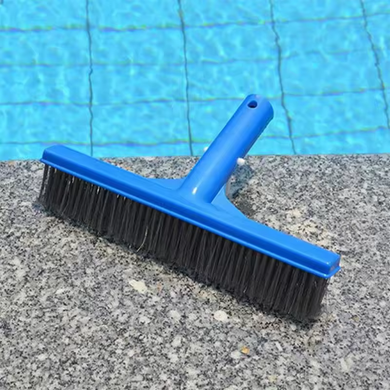 Brosse à algues en acier inoxydable durable de 10 pouces pour le nettoyage des piscines
