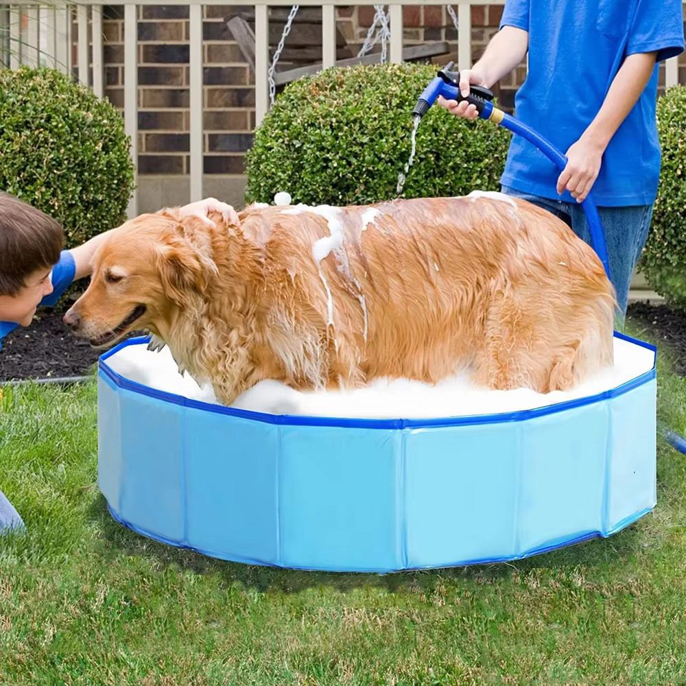 Piscine pliable pour chiens