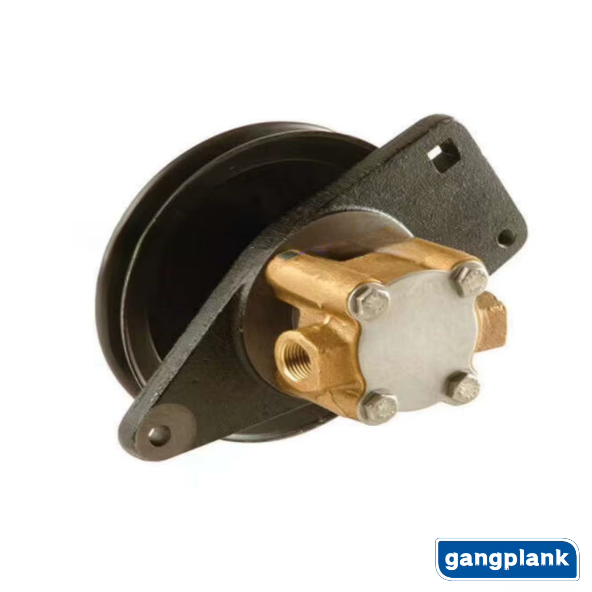 Ensemble de pompe à eau de mer pour Onan CumSERVICES, 132-0395, 132-0430