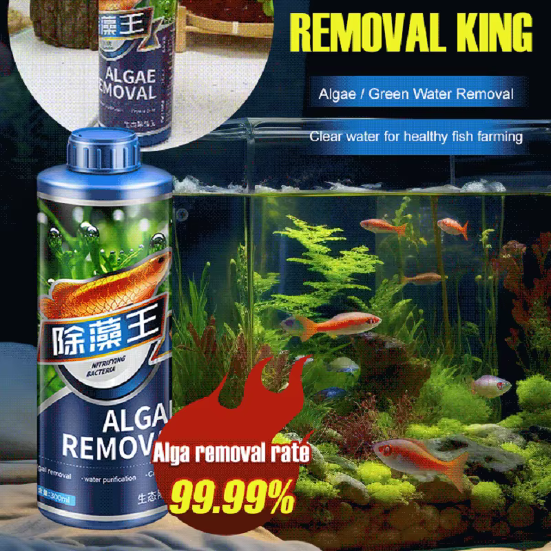 300ml 1/2PC algues pour Aquarium enlever