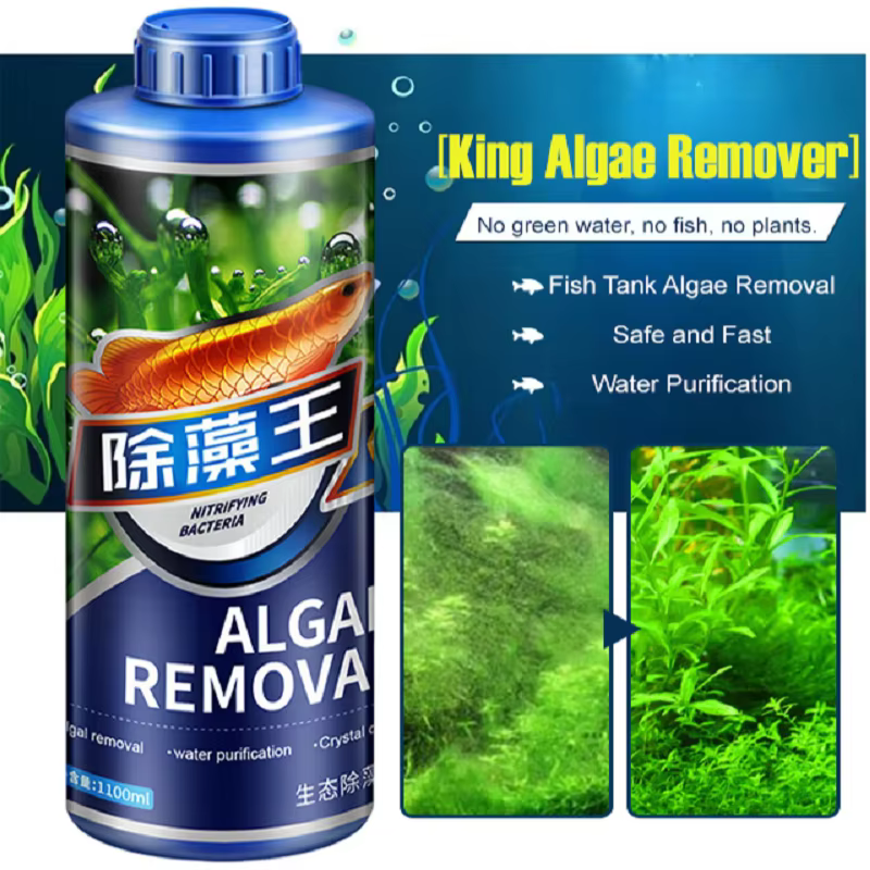 300ml 1/2PC algues pour Aquarium enlever