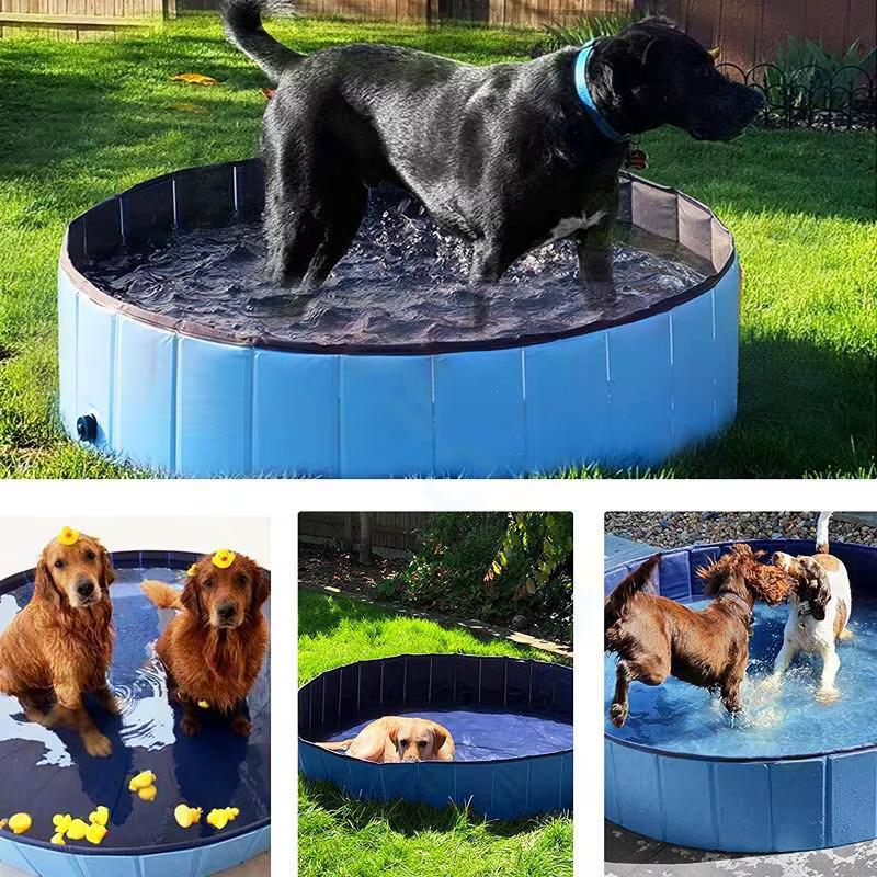 Piscine pliable pour chat et chien