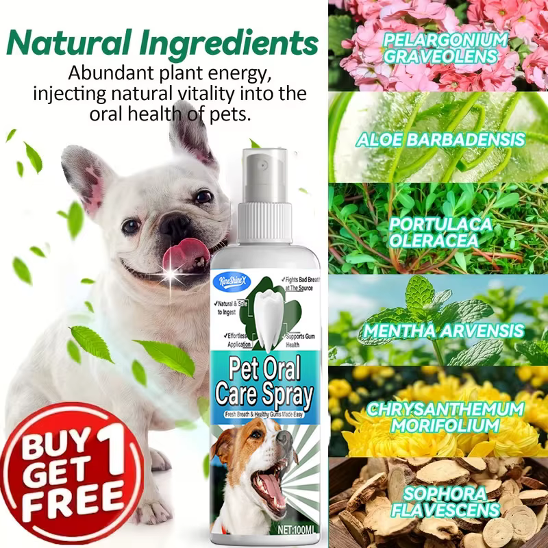 Spray dentaire de soins bucco-dentaires pour animaux de compagnie, éliminateur instantané de mauvaise haleine, avec ingrédients naturels, sans danger pour le nettoyage des dents des chiens et des anim