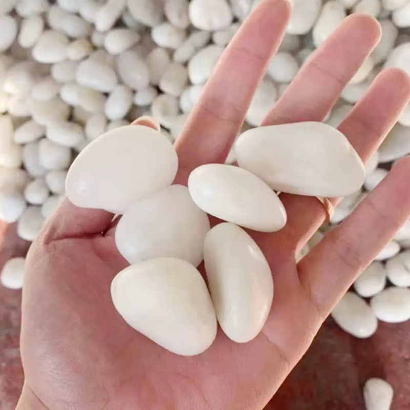 Semelles blanches de 2 à 3cm, 200/400/600/800g, conception de paysage et pavage de route, pierres de pluie hautement polies, pierre de décoration de piscine TMZ