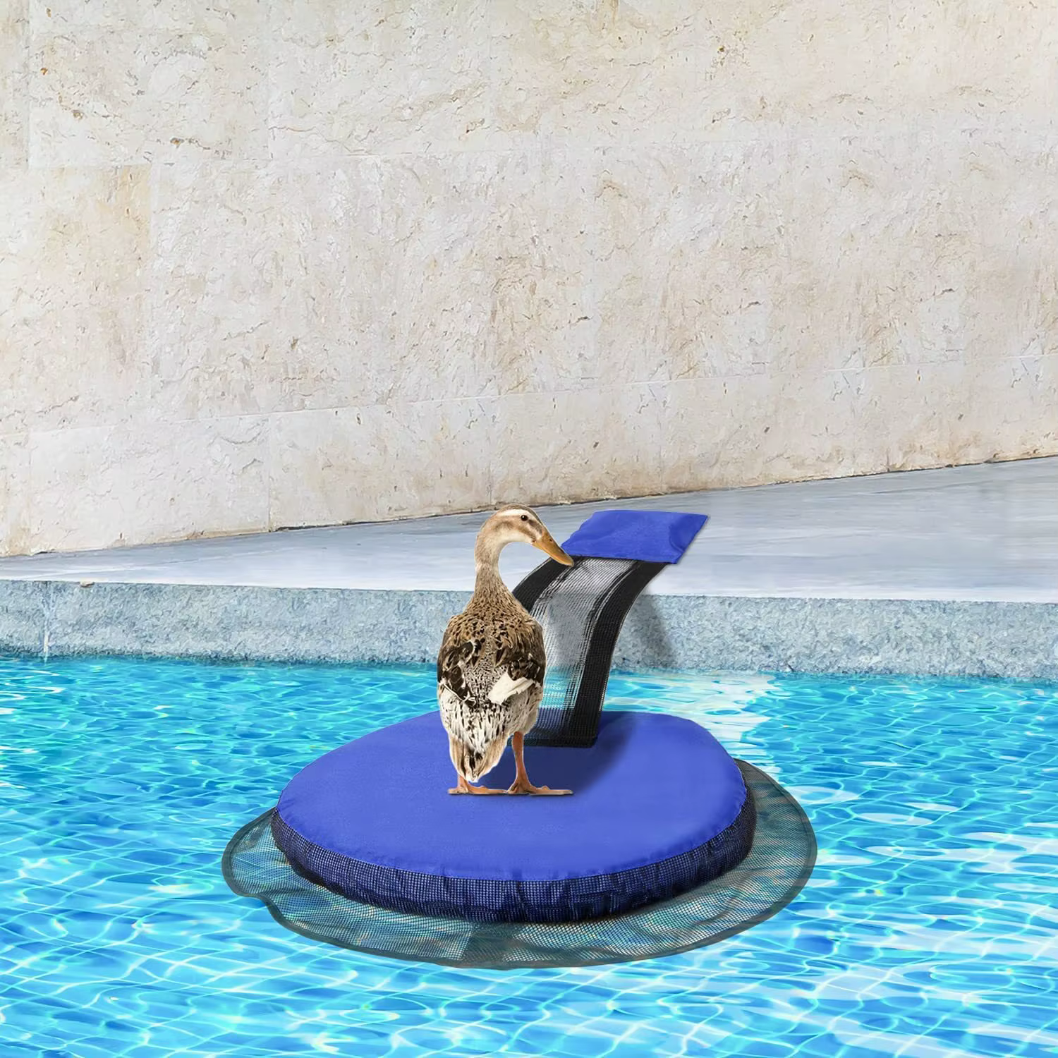 Filet Bade-wurtemberg pour petits animaux de piscine