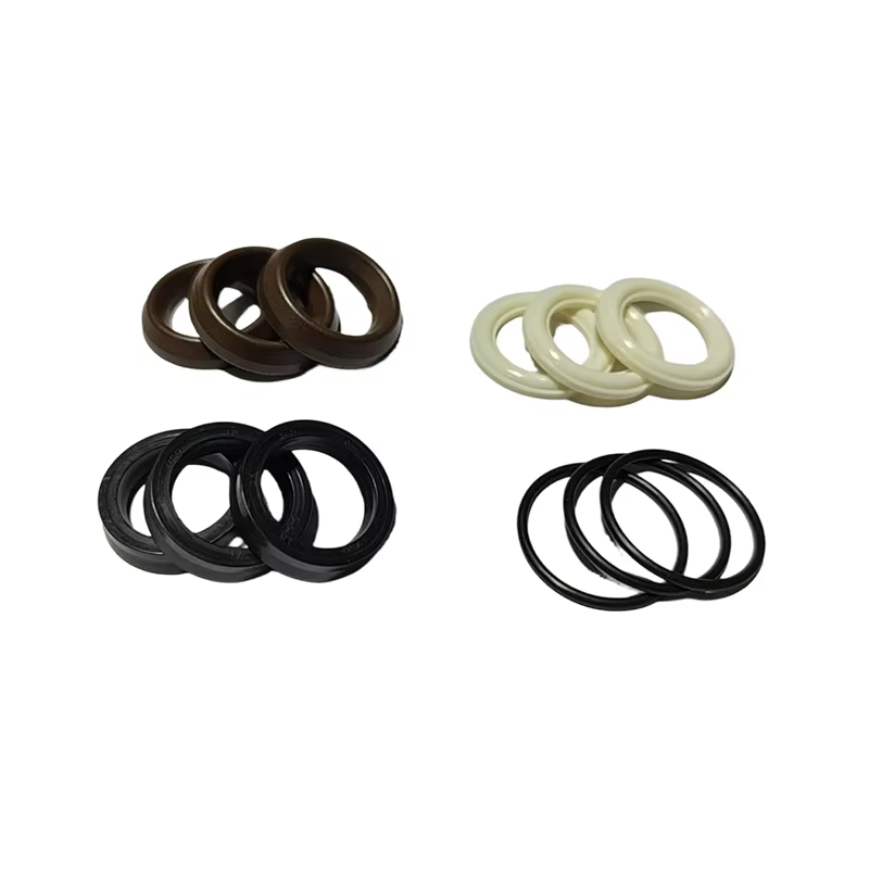 Kit de réparation de joint d'étanchéité pour pompe Annovi Reverberi AR42549 OEM pour pompes RR RRA Italie