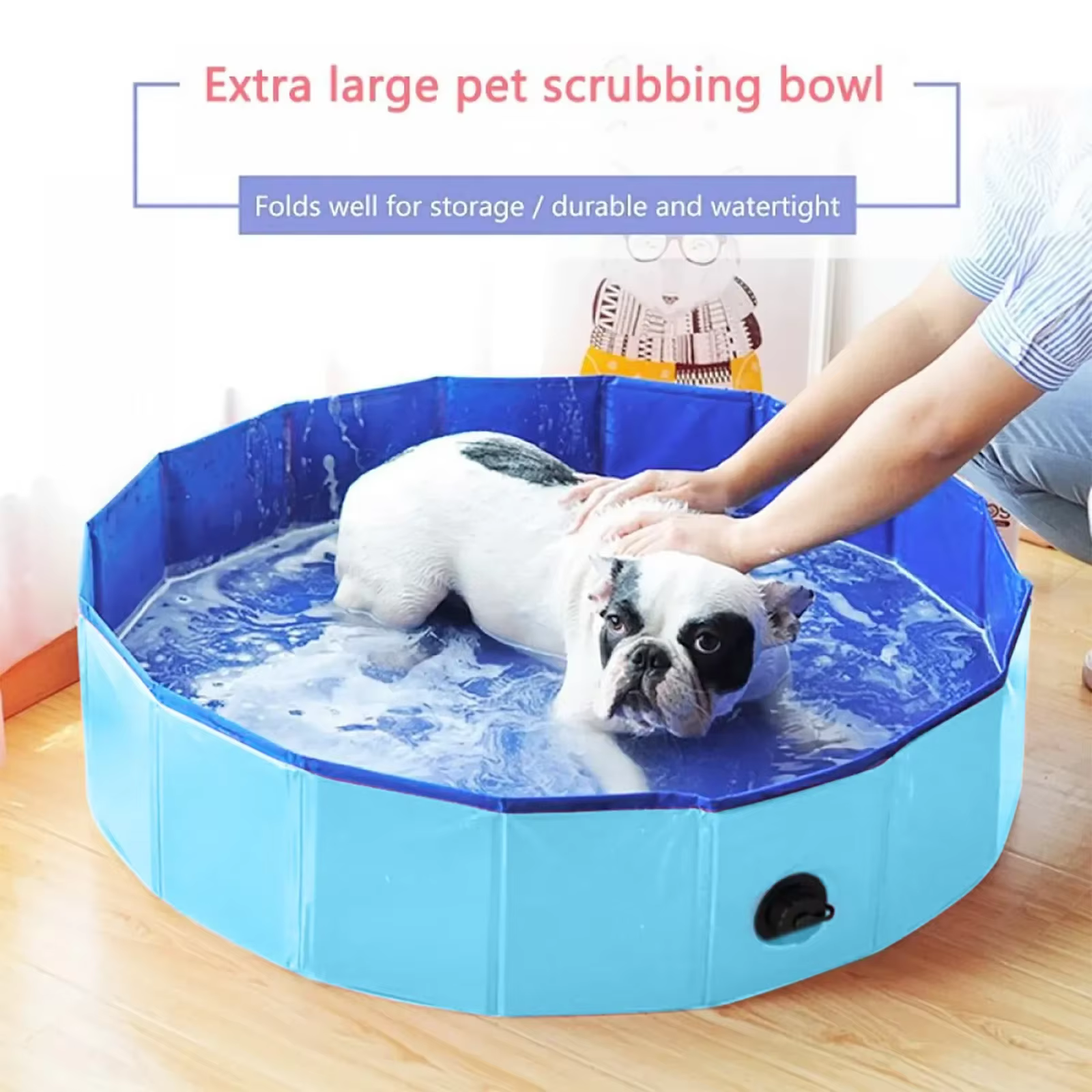 Piscine pliable pour chien
