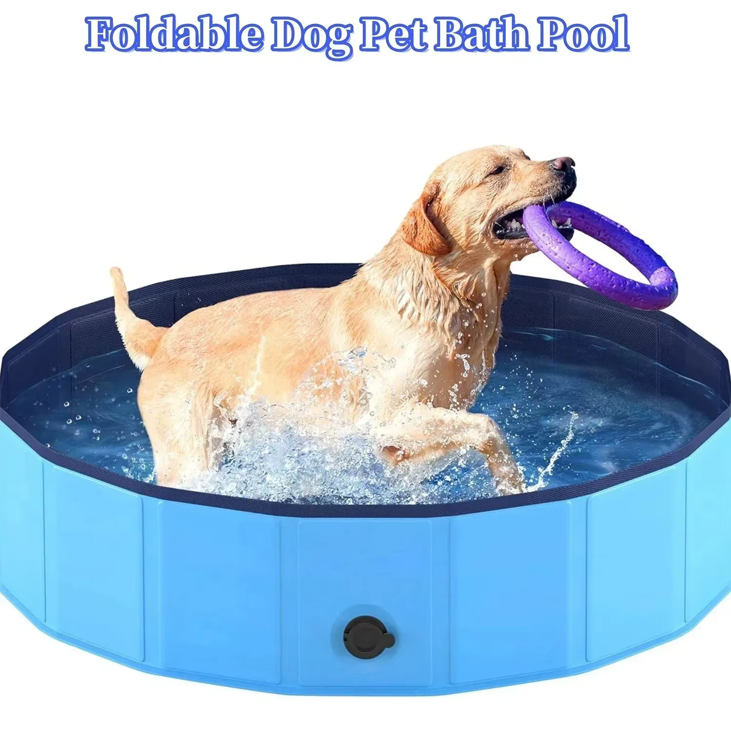 Piscine pliable pour animaux de compagnie