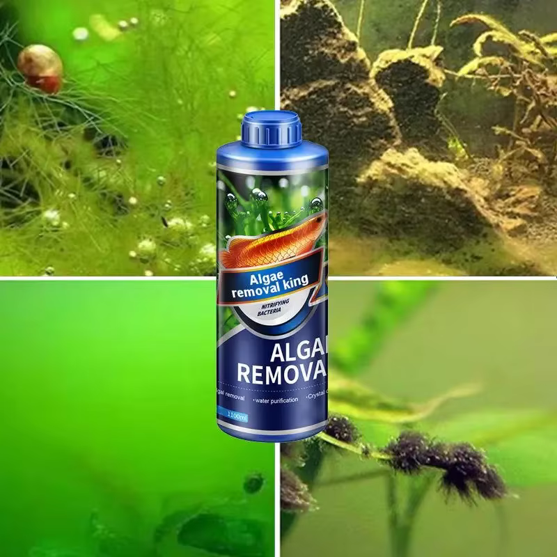 Dissolvant d'algues aquatiques pour aquarium