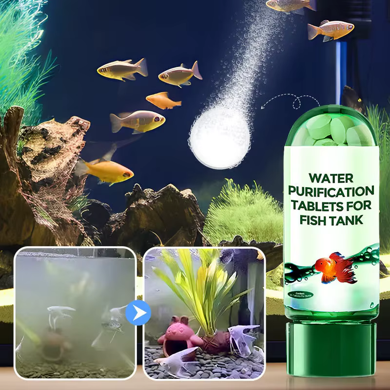 Comprimés de Purification d'eau