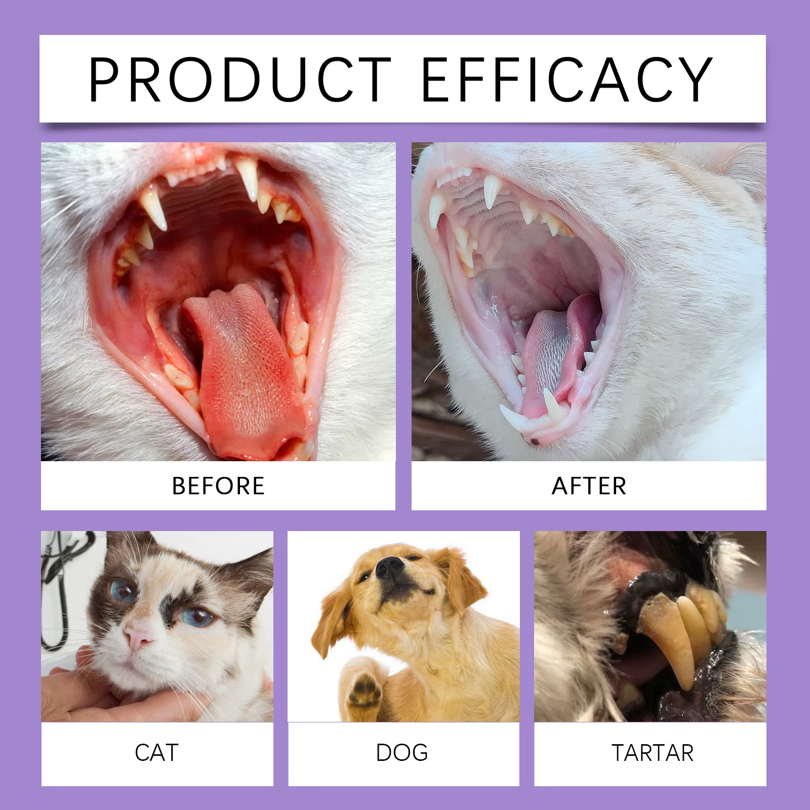 Spray rafraîchissant pour l'haleine des chiens et des chats - Élimination efficace du tartre et de la plaque dentaire, stoppe la mauvaise haleine, traitement doux d'hygiène buccale pour animaux de com