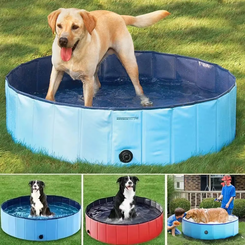 Piscine pliable pour animaux de compagnie