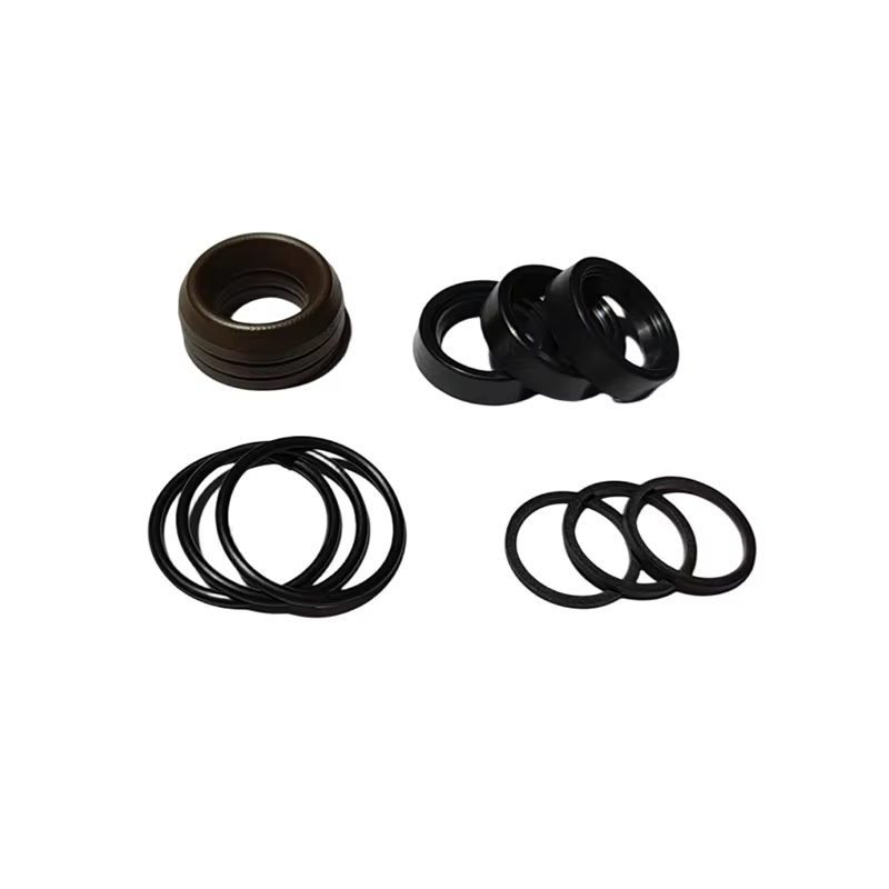 Kit de réparation de joint d'étanchéité pour pompe Annovi Reverberi AR42476 OEM
