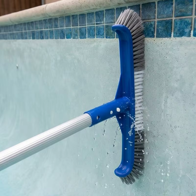 Outil nettoyage des murs piscine