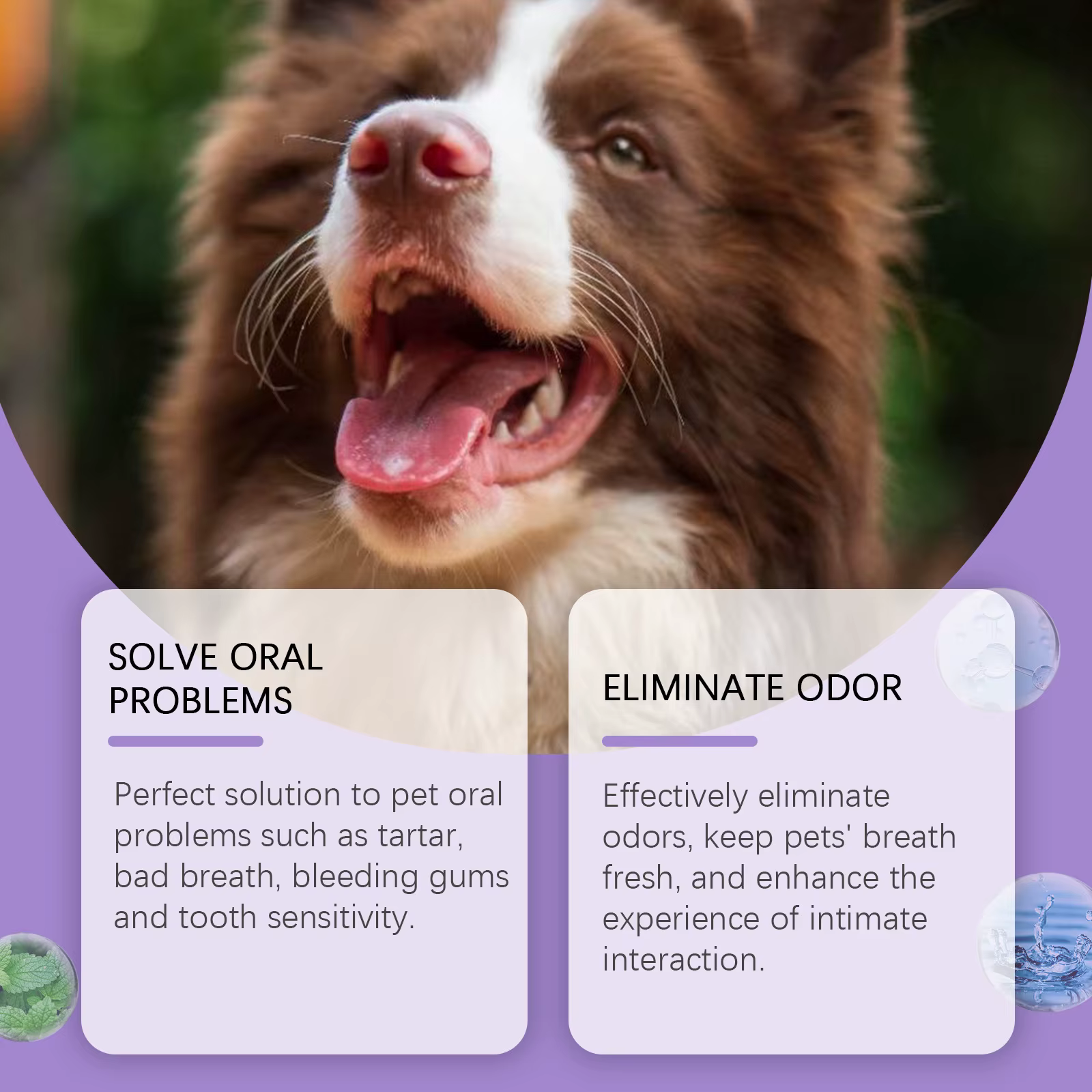 Spray rafraîchissant pour l'haleine des chiens et des chats - Élimination efficace du tartre et de la plaque dentaire, stoppe la mauvaise haleine, traitement doux d'hygiène buccale pour animaux de com
