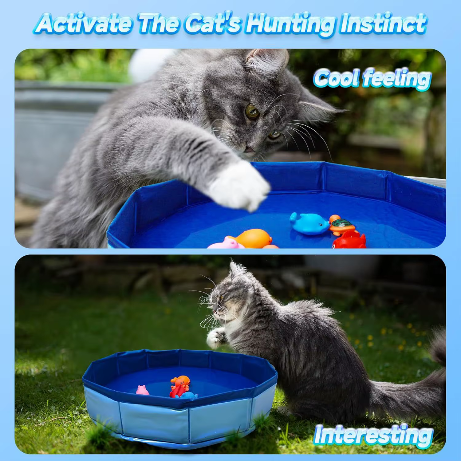 Piscine pliable pour animaux de compagnie pour chats et chiens